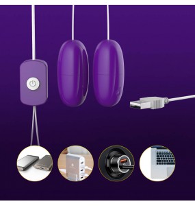 LILO - Powerful Dual Vibrating Eggs (USB Power Supply)